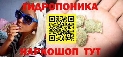 трава Северобайкальск
