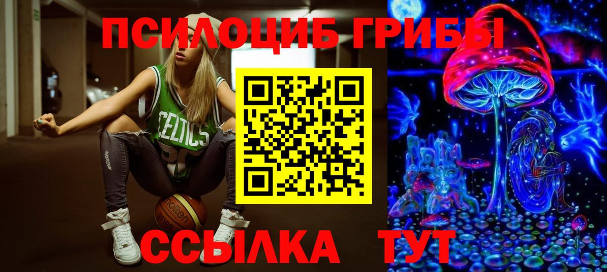 Новодвинск  Галлюциногенные грибы мицелий  Галлюциногенные грибы MAGIC MUSHROOMS  Вход с VPN 