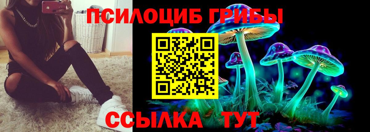 Псилоцибиновые грибы Magic Shrooms Новодвинск