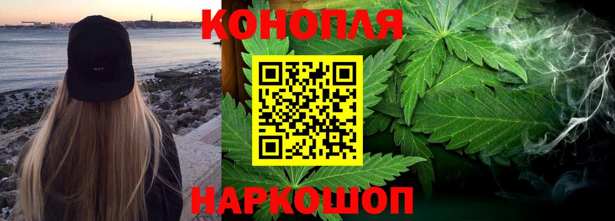 Каннабис гибрид Новодвинск